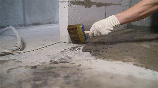 Crawl space vapor barrier installation in Stanton, MI